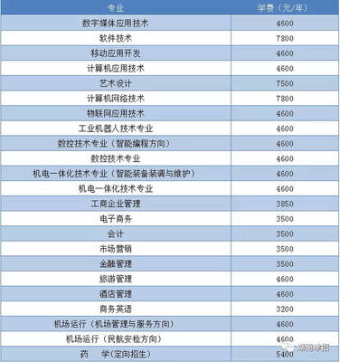 湖南省單招考試報考計算機、軟件類專業院校與重點推薦—聚焦技術開發與銷售